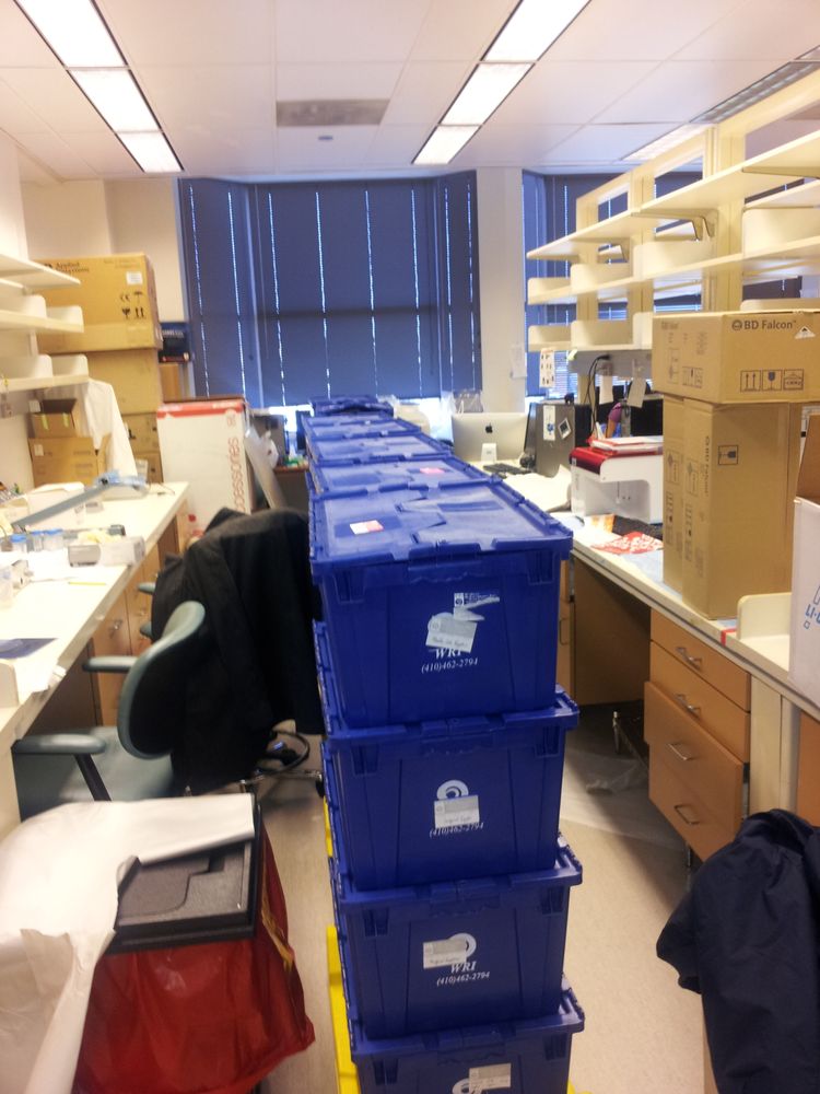 Photo of Walters Relocations