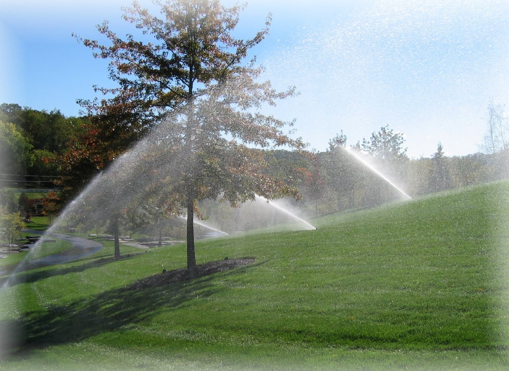 Photo of Custom Turf