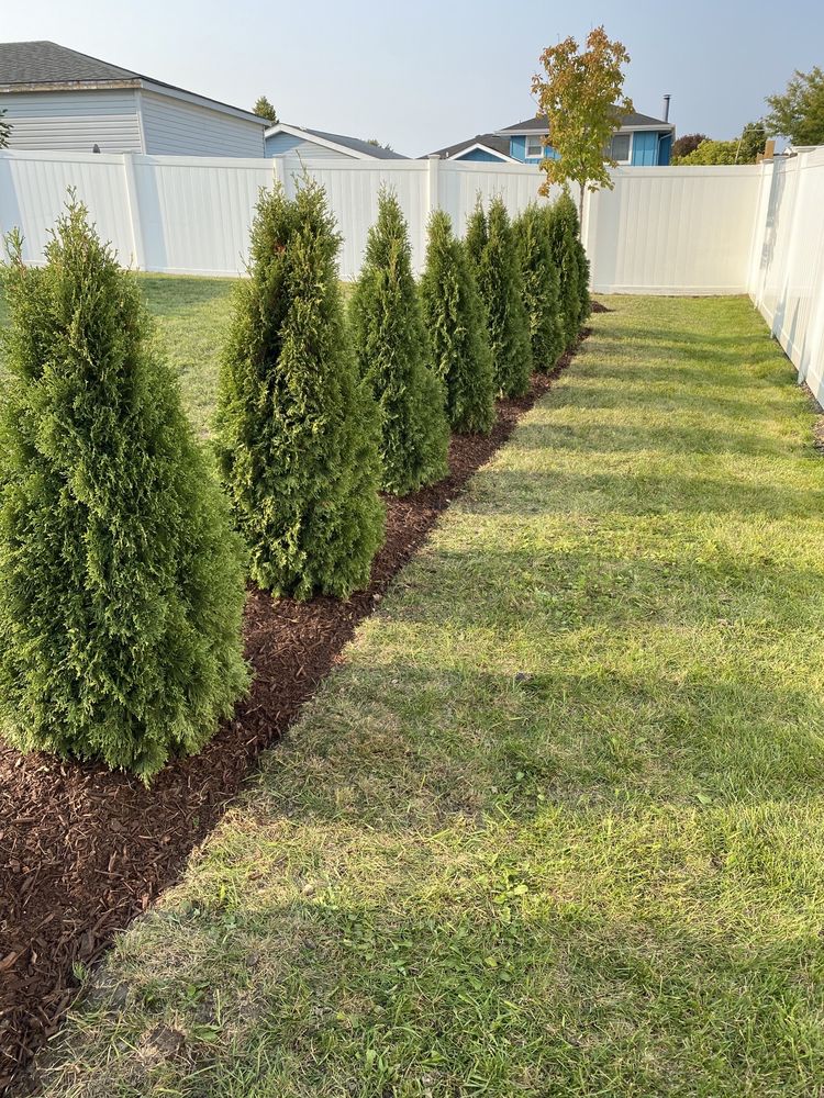 Photo of Dirty Deed's Lawn & Landscaping