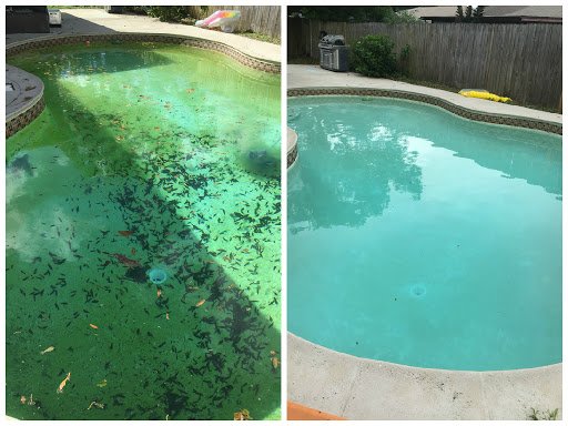 Photo of Pool Services and Cleaning