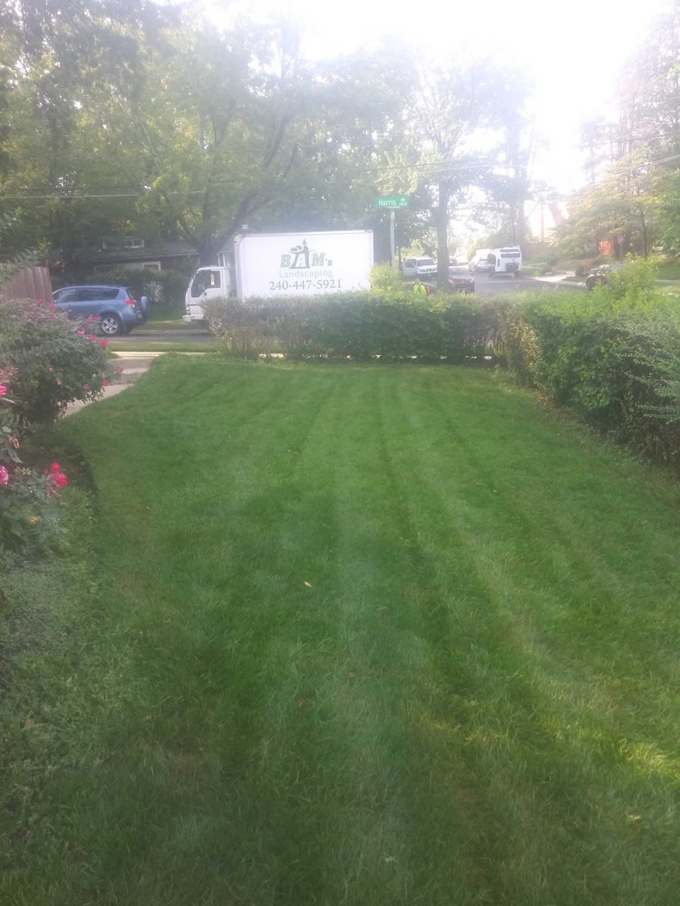 Photo of BAM'S Landscaping