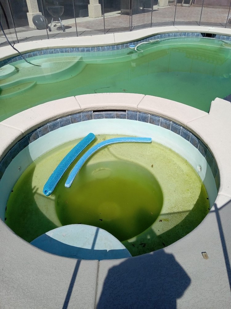 Photo of Pool Kings