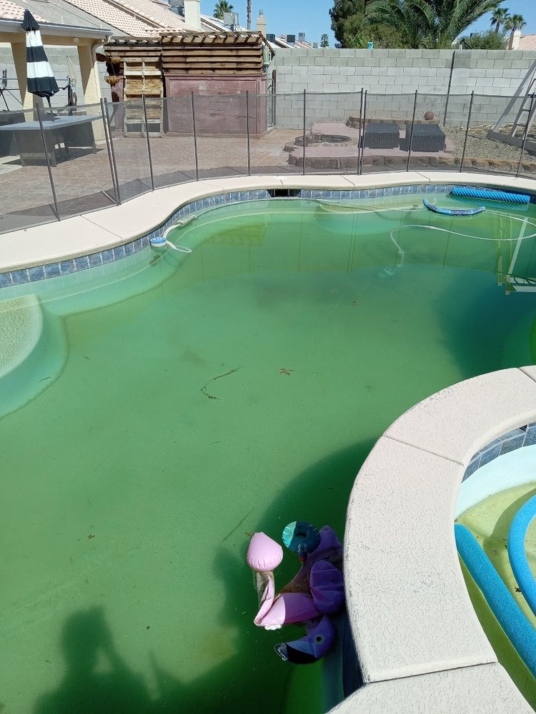Photo of Pool Kings