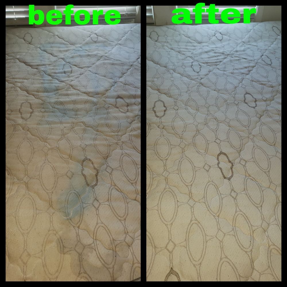 Photo of Filthy 2 Clean Steam Team Carpet & Upholstery Cleaning Chicago