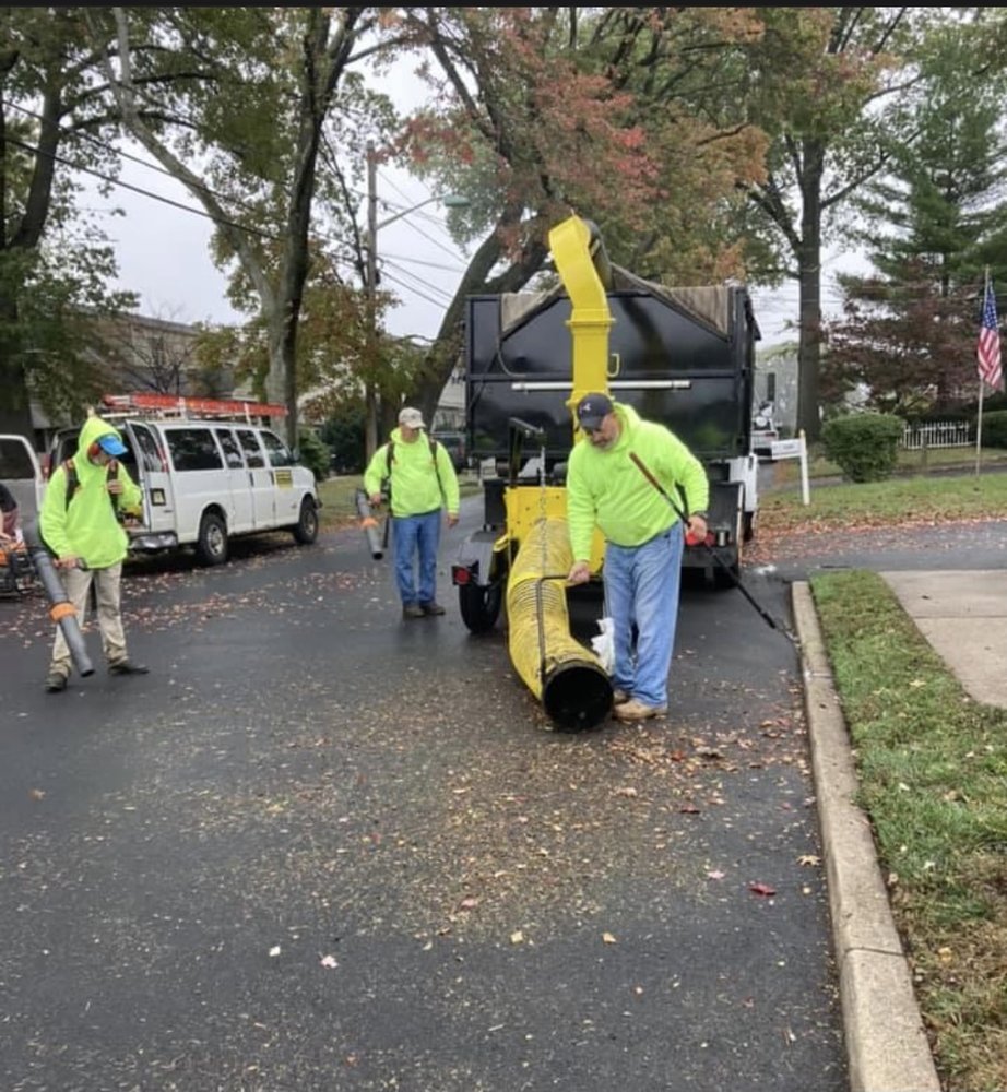 Photo of Mountain Ridge Landscaping Maintenance & Design