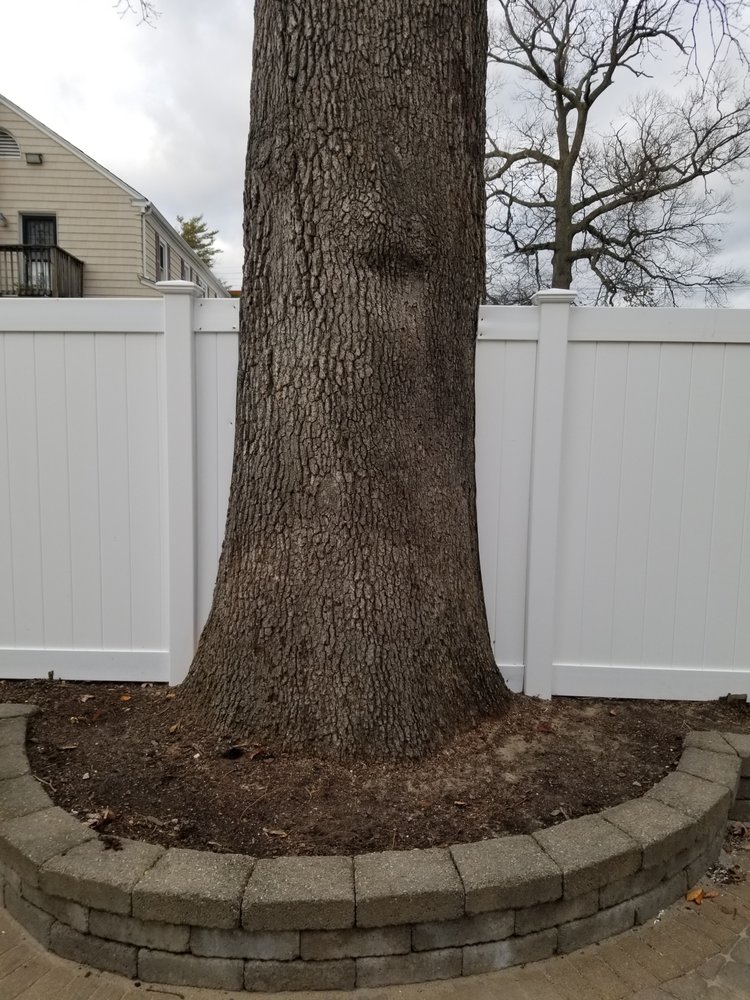 Photo of DG Fence
