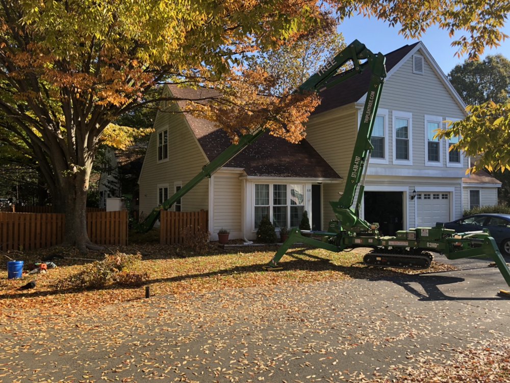 Photo of Triple H Tree & Excavating