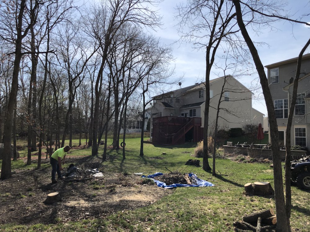 Photo of Triple H Tree & Excavating