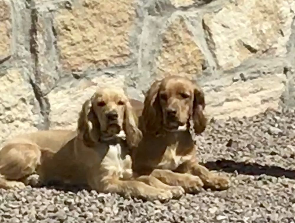 Photo of The Fénix Group