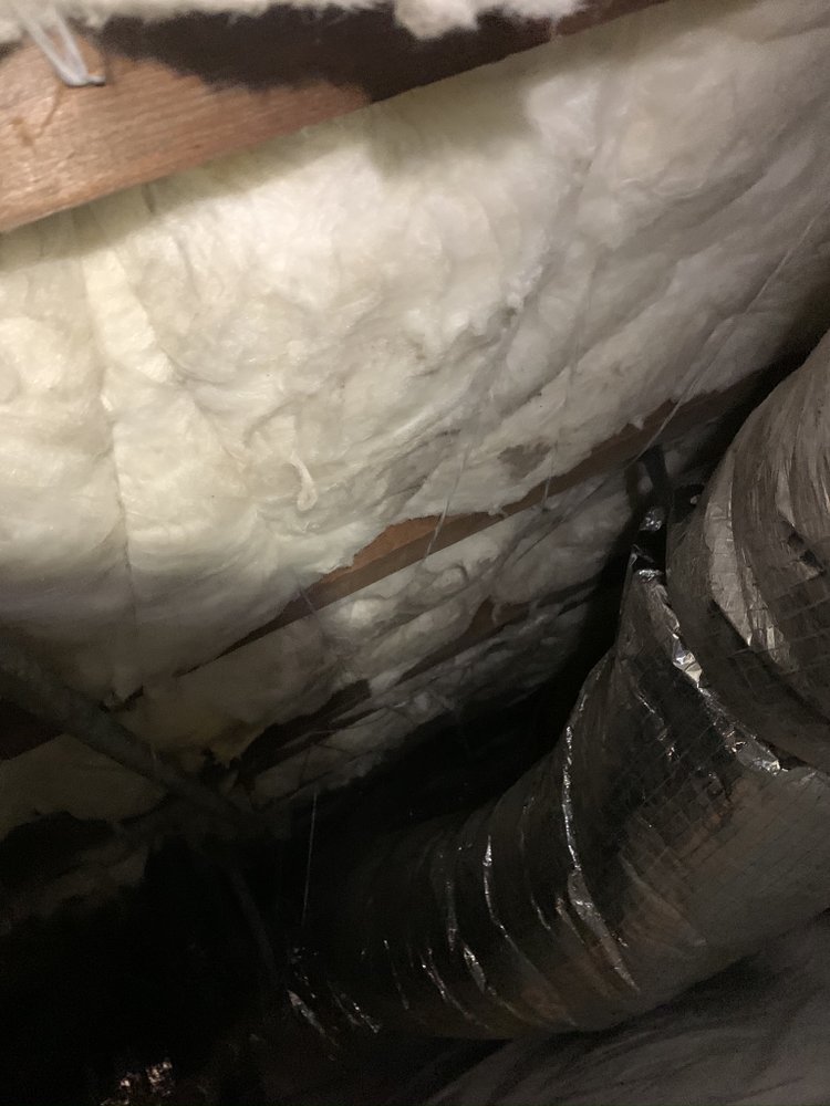Photo of Clean crawl space