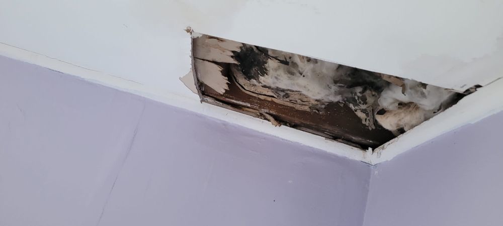 Photo of Patch It Up
