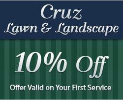 Photo of Cruz Lawn & Landscape