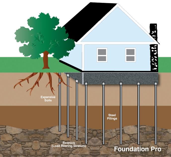 Photo of Foundation Pro