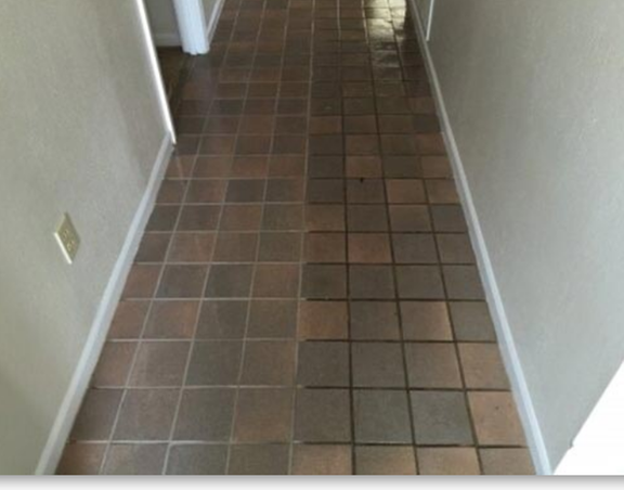 Photo of Allstar Carpet & Upholstery Care