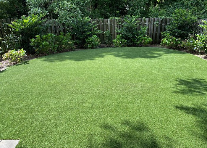 Photo of ProGreen Charlotte