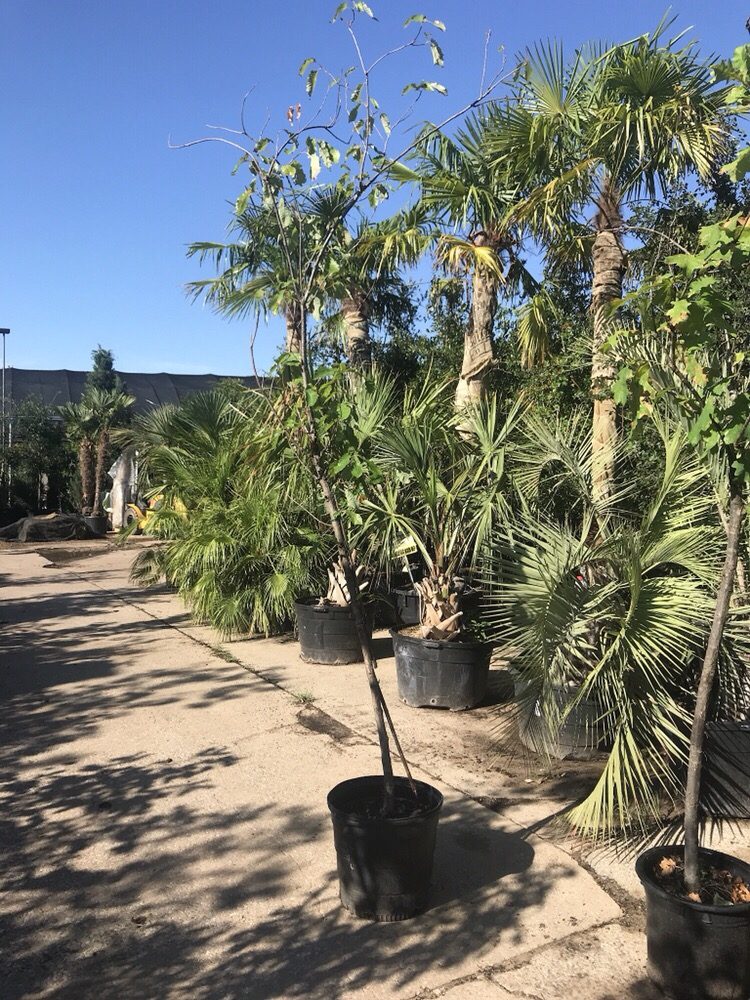 Photo of Farmer Wholesale Sod & Trees
