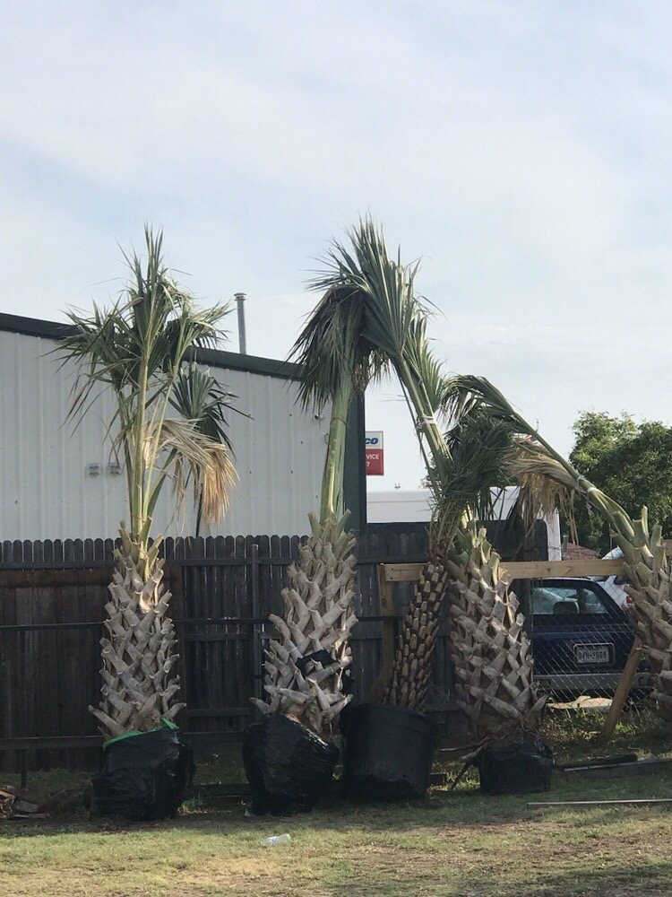 Photo of Farmer Wholesale Sod & Trees