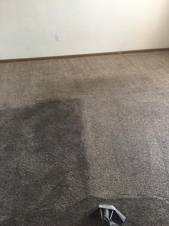Photo of Steam Team Carpet Cleaning