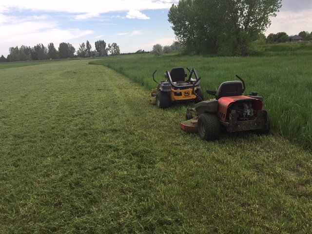 Photo of Heaberlin Lawn Care