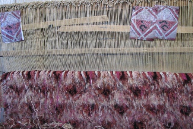 Photo of Papillon Rug Care