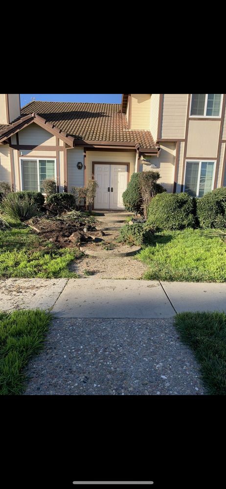 Photo of Ruiz Gardening