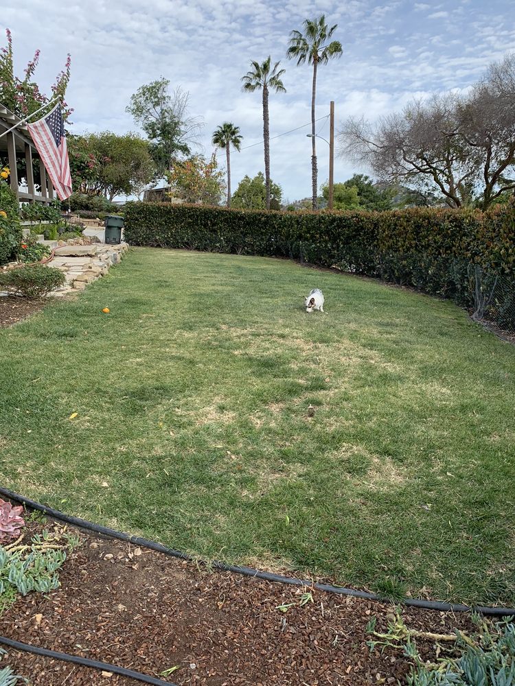 Photo of Blue Monarch Landscape Development