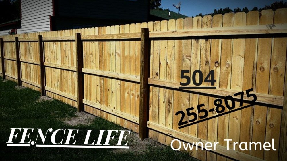 Photo of Fence Life