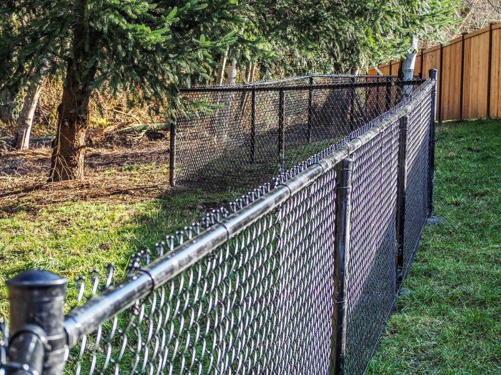 Photo of Fence Life
