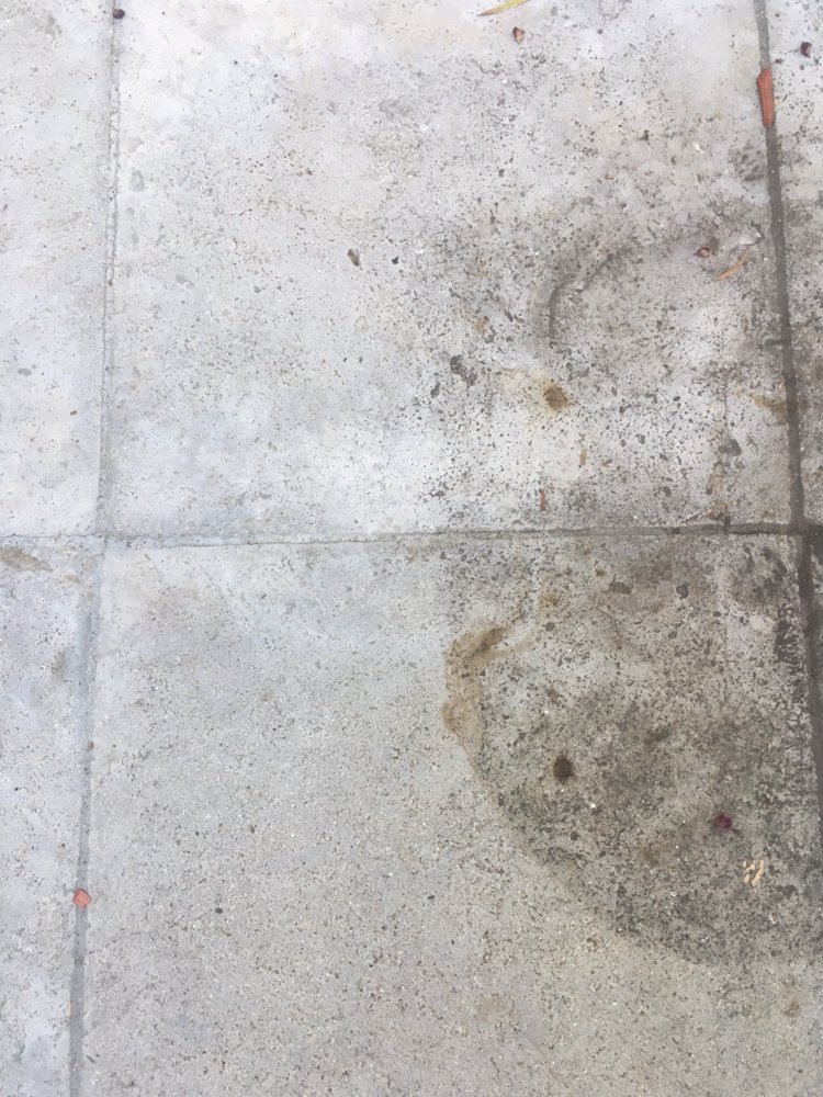 Photo of Go Go Power Washers