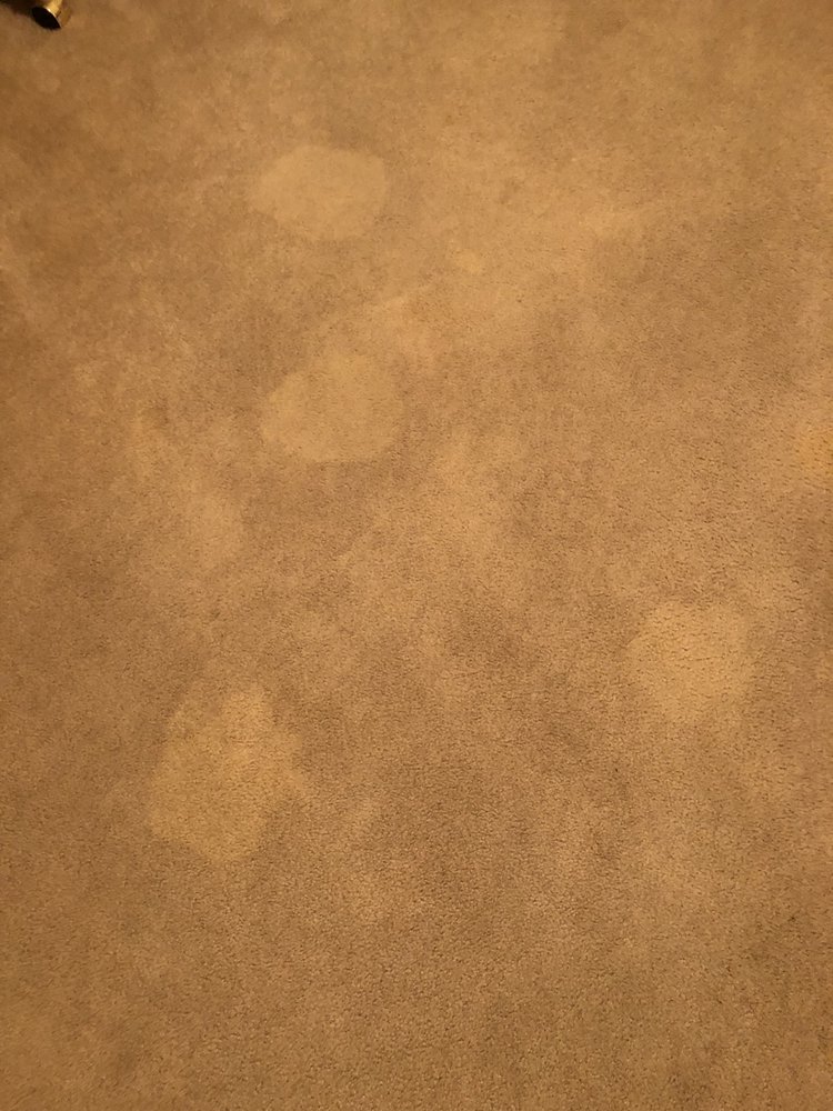 Photo of Steamer's Carpet Care