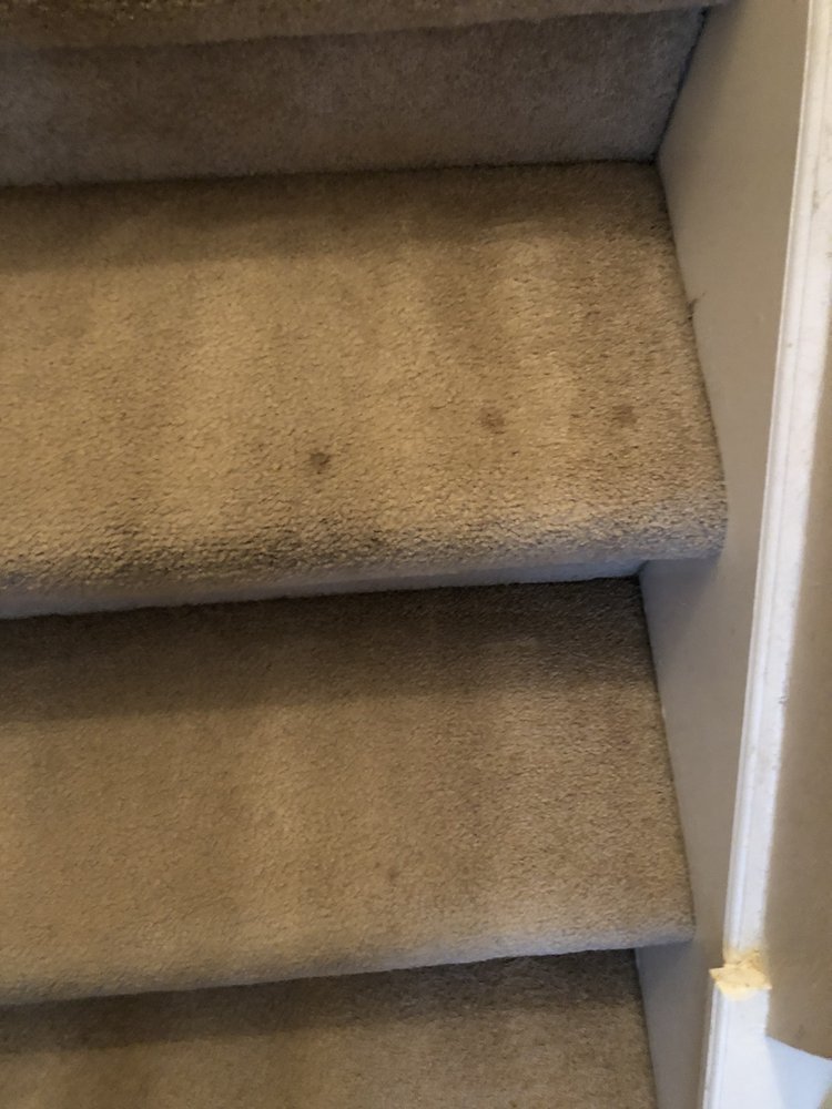 Photo of Steamer's Carpet Care