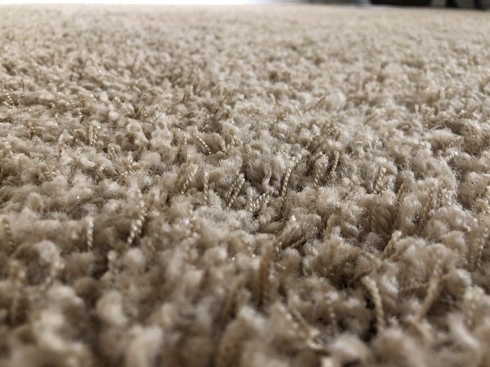 Photo of Steamer's Carpet Care