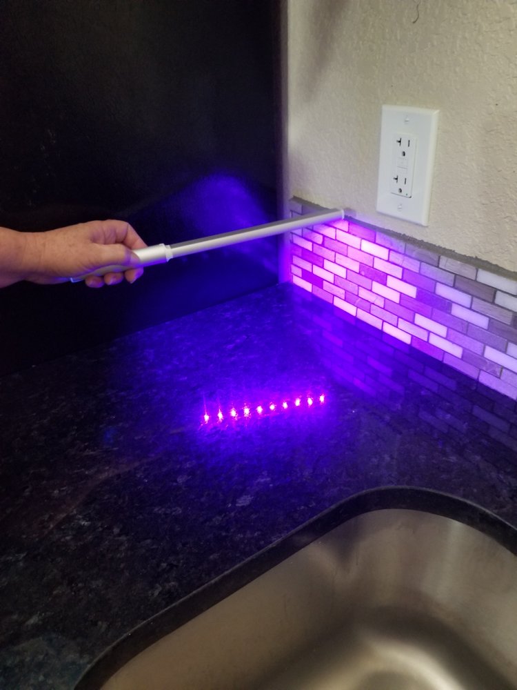 Photo of Chloris Nontoxic Cleaning Service