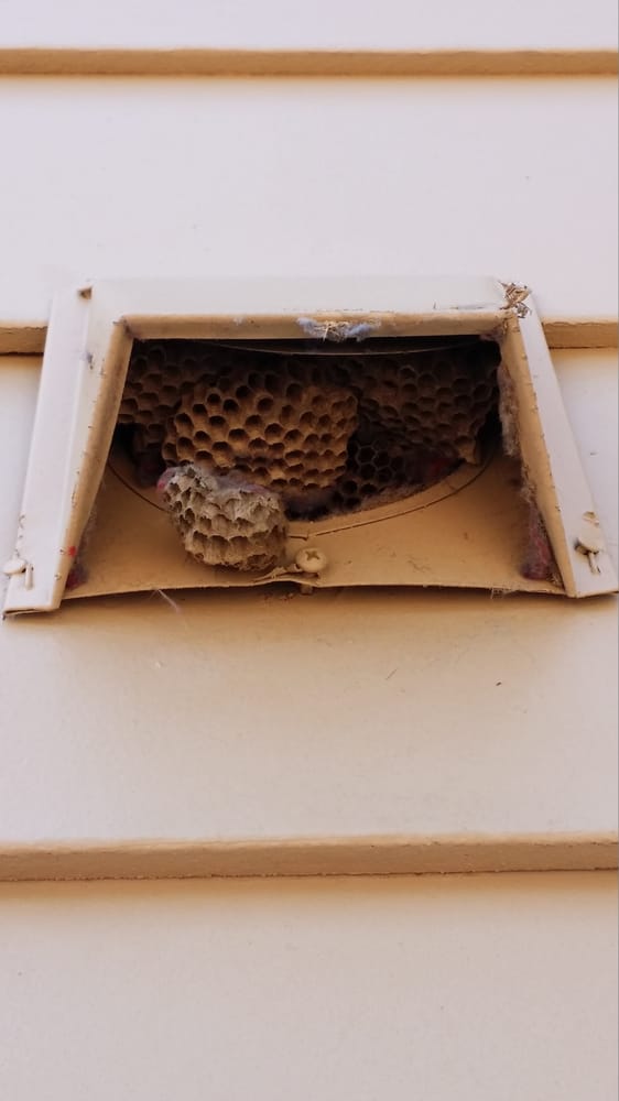 Photo of All Clean Dryer Vent Cleaning