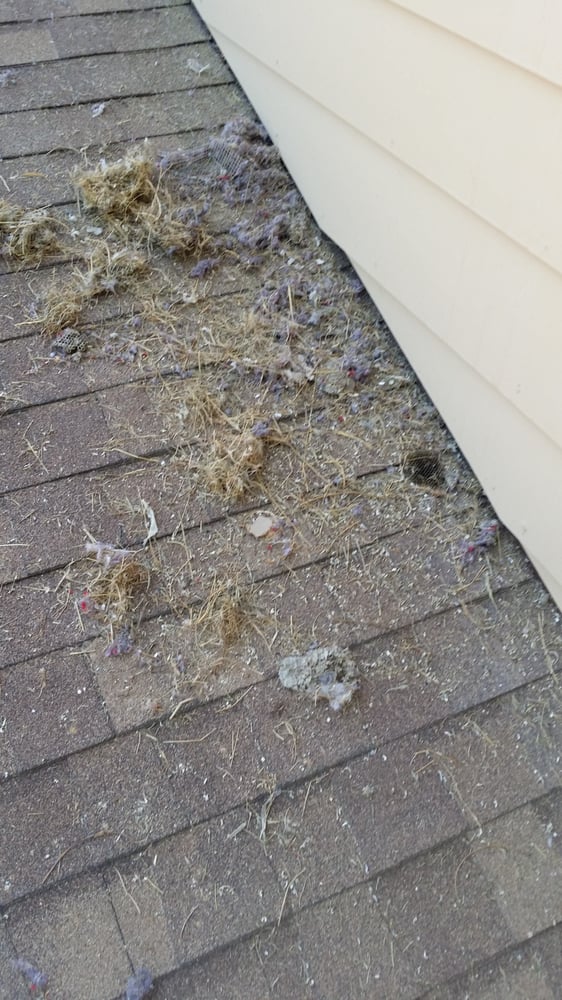 Photo of All Clean Dryer Vent Cleaning