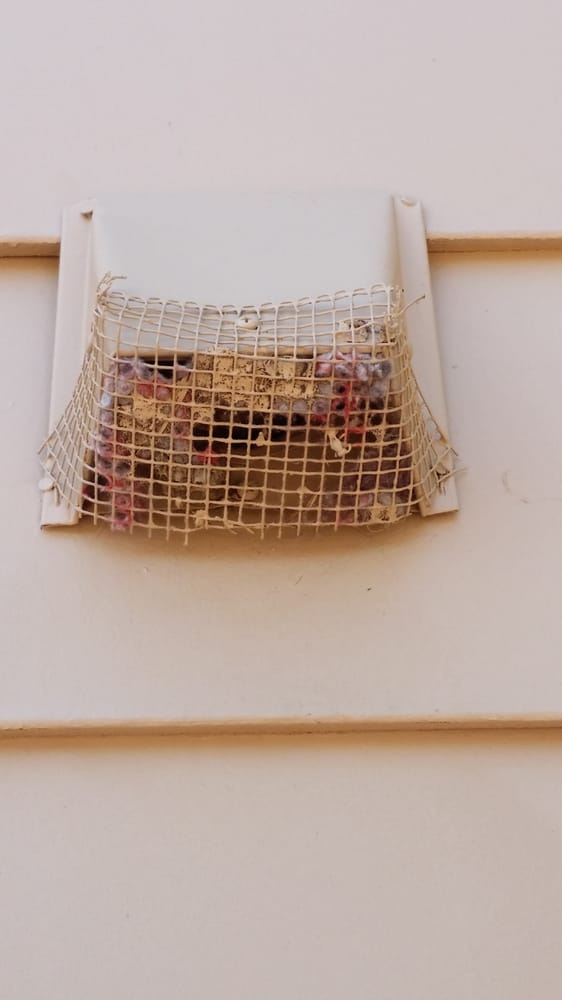 Photo of All Clean Dryer Vent Cleaning