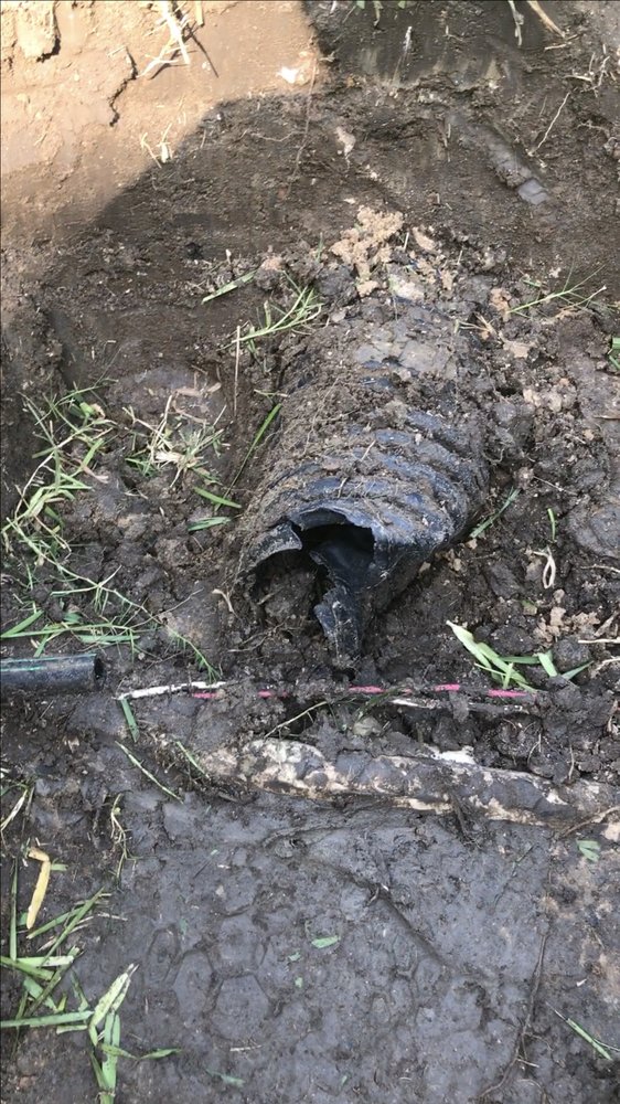 Photo of Bryant Lawn and Sprinkler