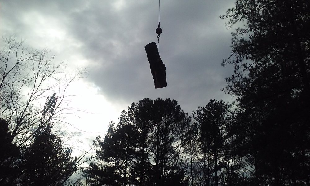 Photo of Timberline Tree Service & Landscaping