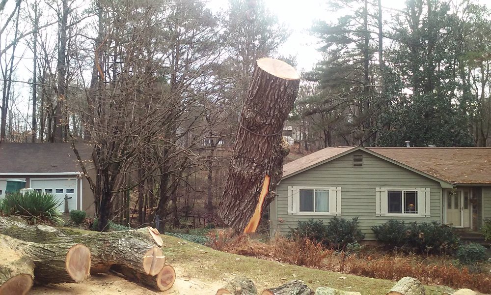 Photo of Timberline Tree Service & Landscaping
