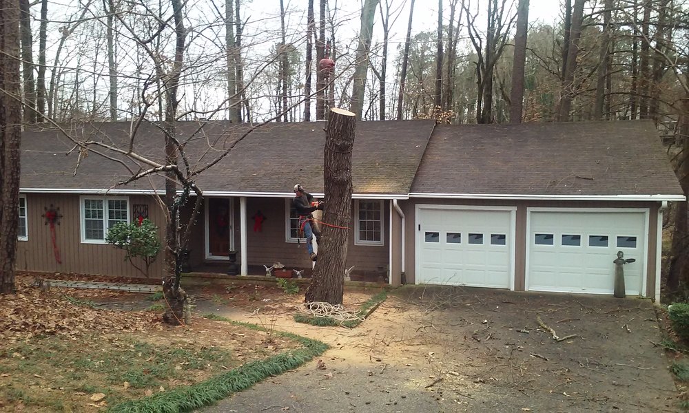 Photo of Timberline Tree Service & Landscaping