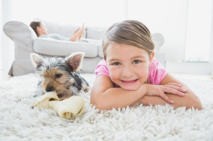 Photo of Layton Professional Carpet Cleaners