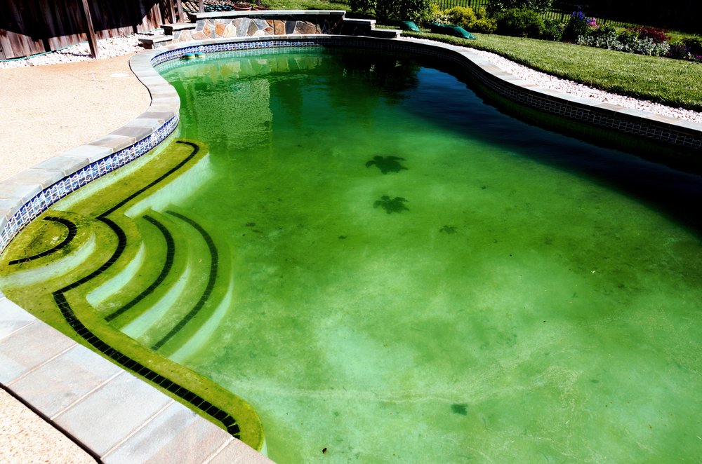Photo of Scott's Pools & Spas