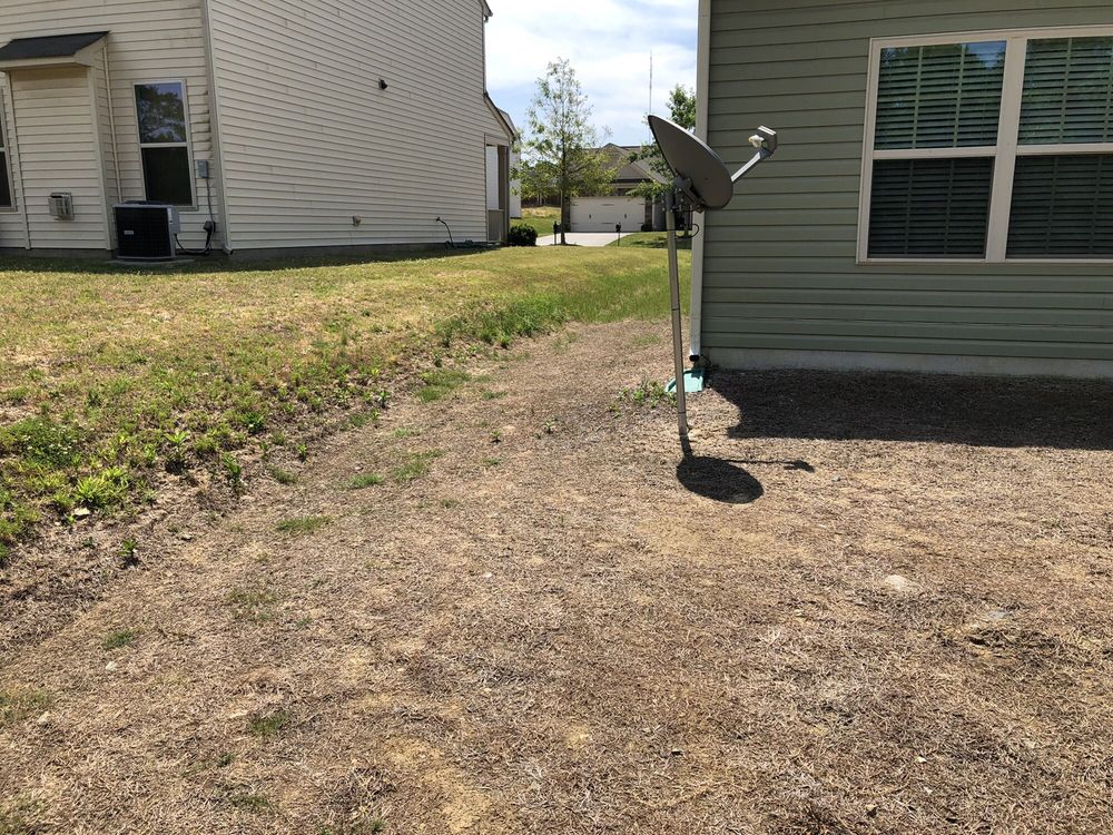 Photo of Top Turf Lawn Care and Pest Management
