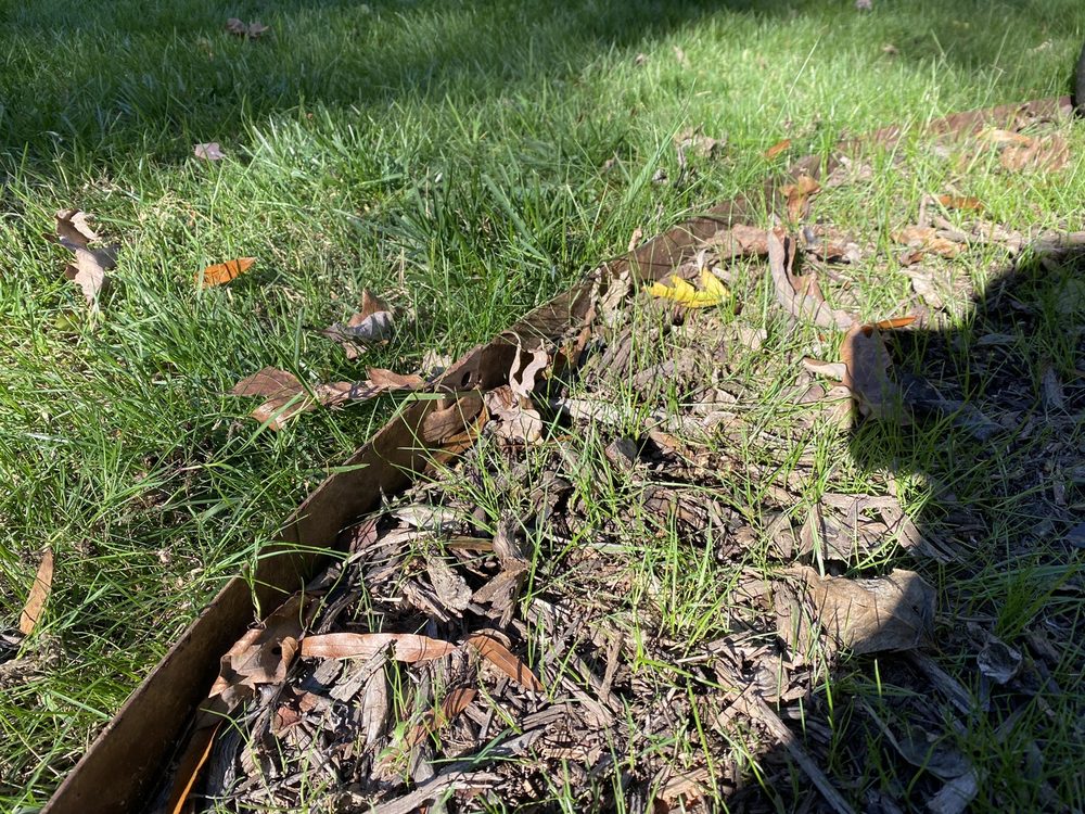 Photo of Top Turf Lawn Care and Pest Management