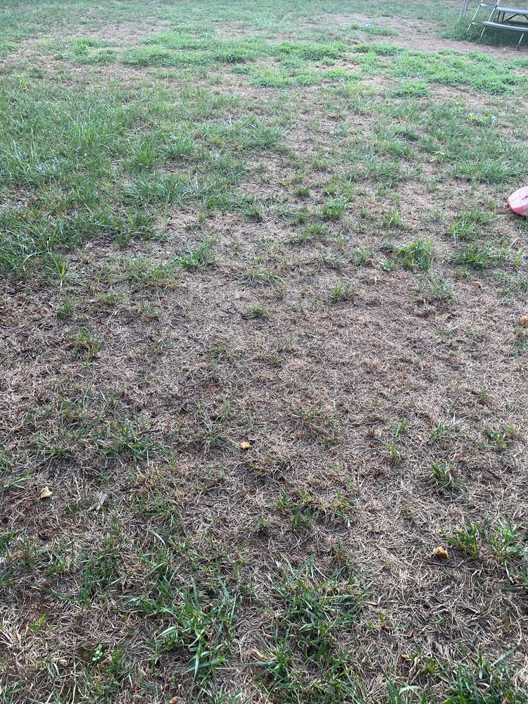 Photo of Top Turf Lawn Care and Pest Management