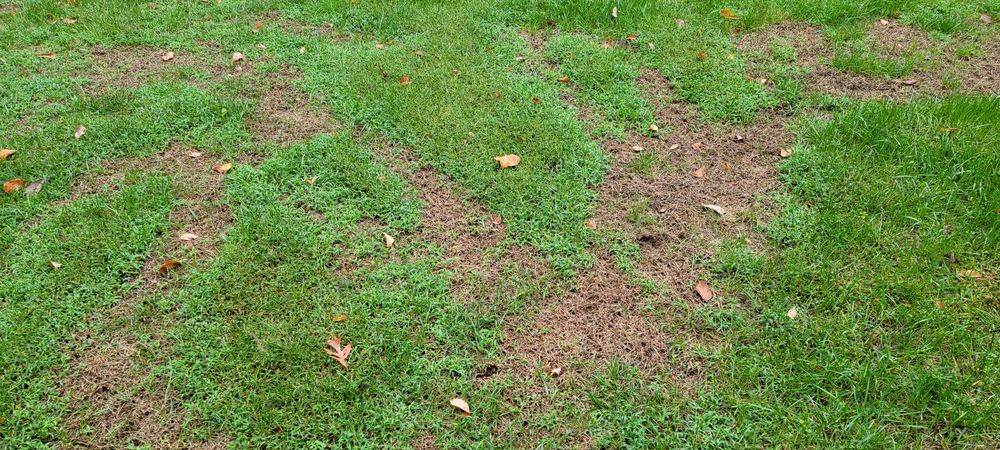 Photo of Top Turf Lawn Care and Pest Management