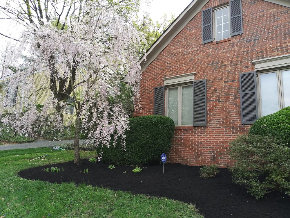 Photo of waynes custom landscapping