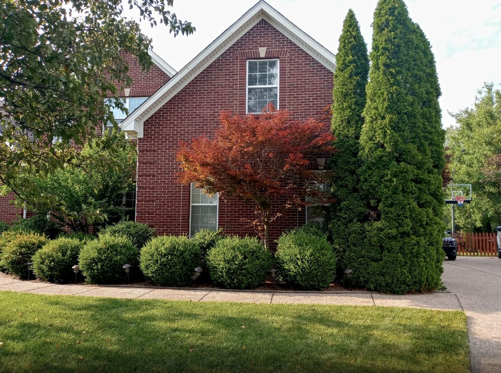 Photo of waynes custom landscapping