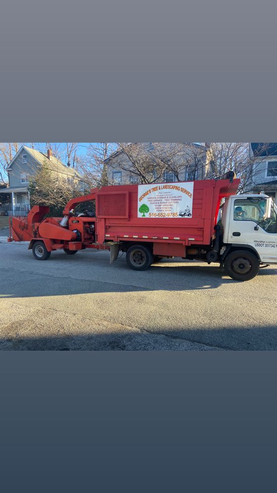 Photo of George's Tree and Landscaping Services