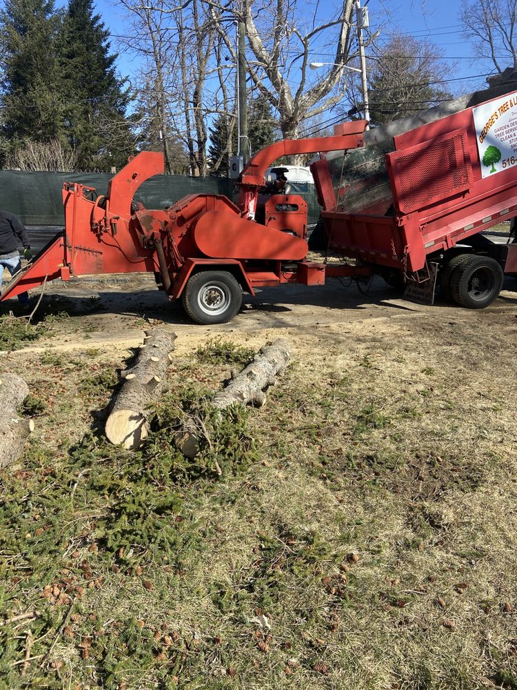 Photo of George's Tree and Landscaping Services
